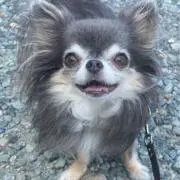 ひいちゃんの画像