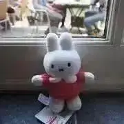 am