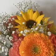 レイの画像