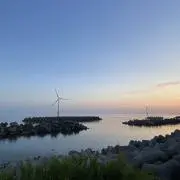 ぐっちの画像