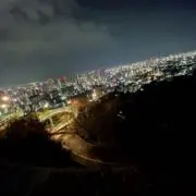 じゃがいも