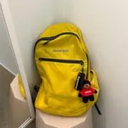 しがの画像