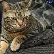 もー