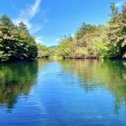 L.B.の画像