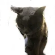 なみへいの画像