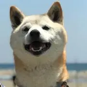 nyh☆購入前にプロフ読んで下さい☆