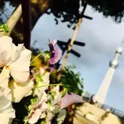 もぐMAMAの画像