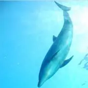 ゆうの画像