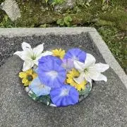 hatiの画像