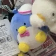 Minoの画像
