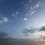 けんの画像