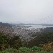 よつばの画像