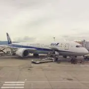 （・×・）の画像