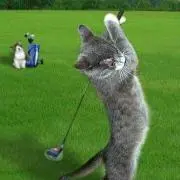 イヌワシの画像