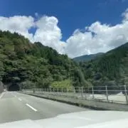 チコリの画像