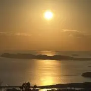 うかの画像