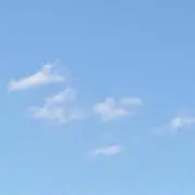 なまこ