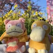 ステラ断捨離の画像