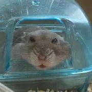 ジャン