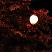 mpの画像