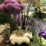 麻子の画像