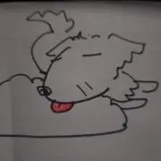 コンパルサポートの画像