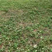 お値段ご相談くださいの画像