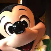 mkの画像