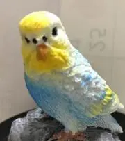 ぱんだクマ