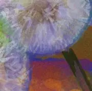 ミント(プロフ一読お願い致します。)の画像