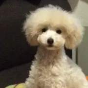 らむ