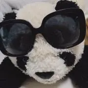 PANDAの画像