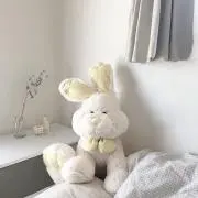 あの画像