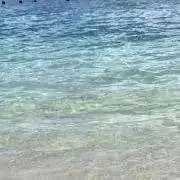 umiの画像