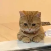 FFFFF