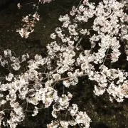 ヒロタク