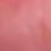 あかさたなの画像
