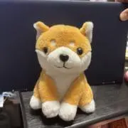 メメっちの画像