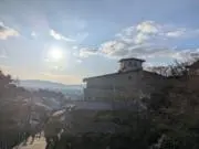 さらだの画像