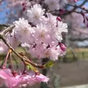 ^_^の画像