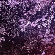 ⭐︎の画像
