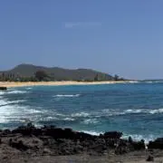 みぃの画像