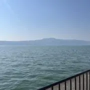 ichiba＠フォロー割&即購入◎