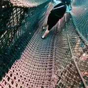あお1の画像