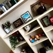 親身さ(しんみさ)の画像