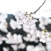 みっちーの画像