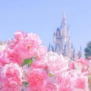 ぴんの画像