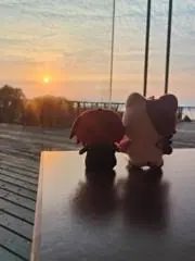サラダの画像