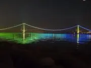 ダミアンドッグの画像