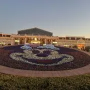 ミニーたんの画像